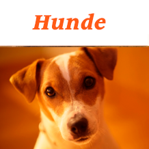 Viele Artikel mit diversen Hunde-Motiven Viele Artikel mit diversen Hunde-Motiven