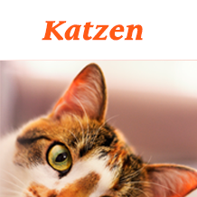 Alles für die Katz Alles für die Katz