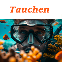 Alles Rund um das Thema Tauchen. Alles Rund um das Thema Tauchen.